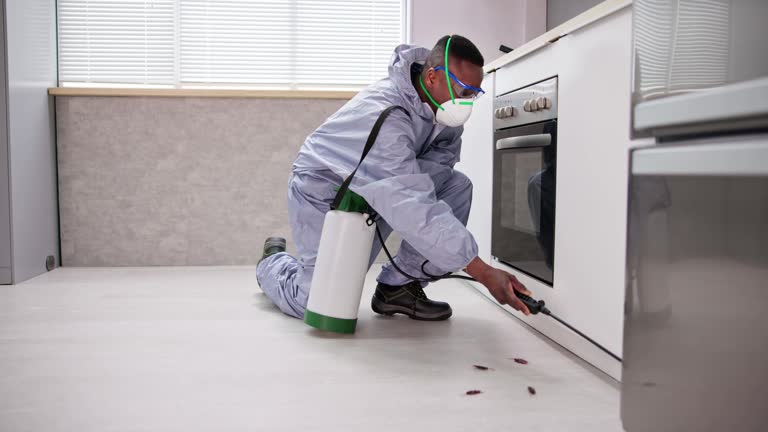 Best Real Estate Pest Inspections  in East Bakersfield, CA